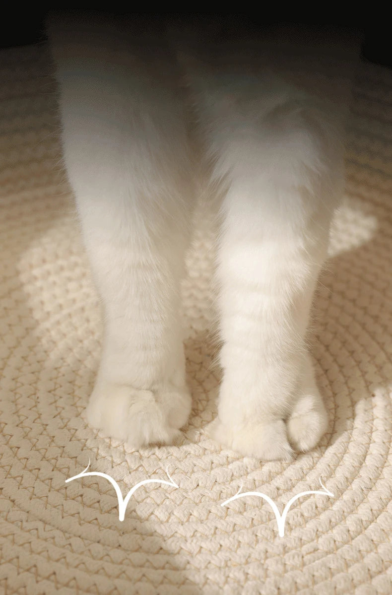 Handmade Rattan Cat Bed with Washable Cushion